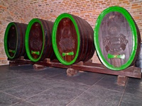 Stora gamla vinfat i en av många ålderdomliga vinkällare i Bratislavas Gamla Stan 
